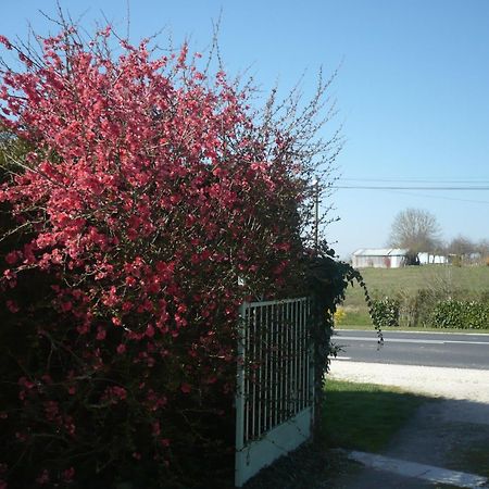 Gite Anne-Marie Davaillon Chatillon-sur-Indre Экстерьер фото