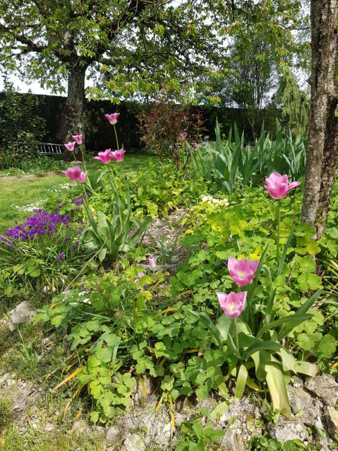 Gite Anne-Marie Davaillon Chatillon-sur-Indre Экстерьер фото
